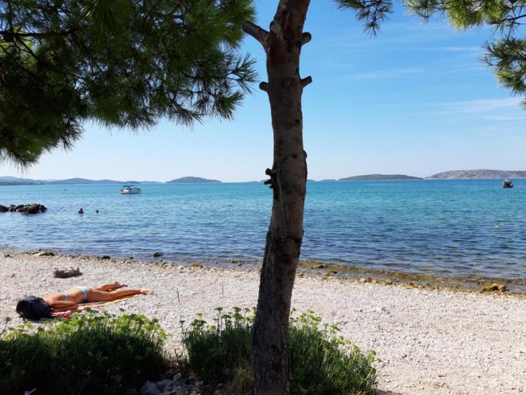 Guesthouse Brodarica Šibenik Eksteriør bilde